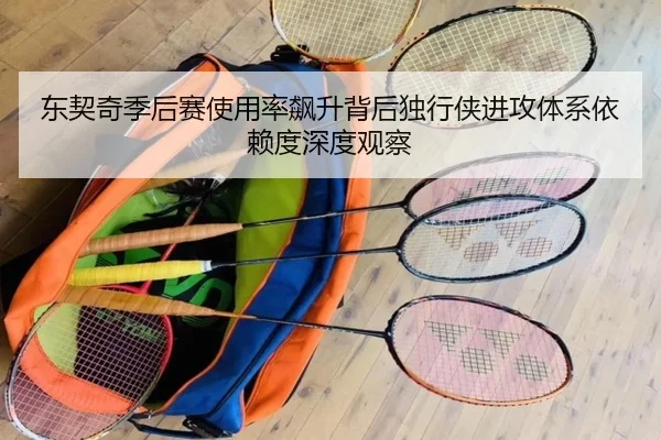 东契奇季后赛使用率飙升背后独行侠进攻体系依赖度深度观察