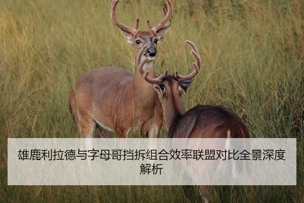 雄鹿利拉德与字母哥挡拆组合效率联盟对比全景深度解析