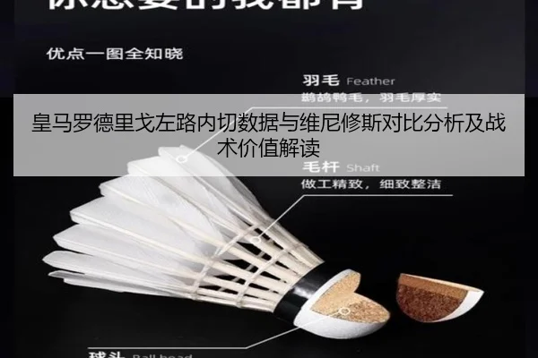 皇马罗德里戈左路内切数据与维尼修斯对比分析及战术价值解读 - c7c7